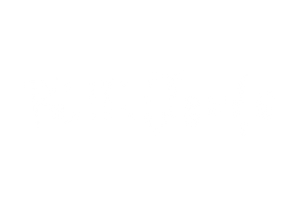 The LiT Crew Co.